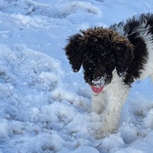 Meet your Posher, Olivia